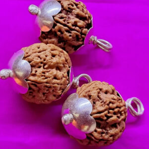 5 Face Collected Bead With Silver