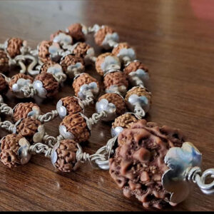 5 Face Silver Rudraksha Mala